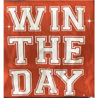 Flash Baseball Club '26